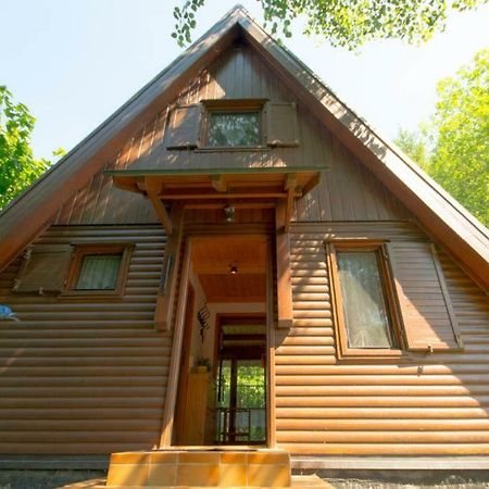 Ferienhaus Ederer Waldmünchen Eksteriør bilde